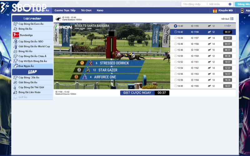 hướng dẫn chơi đua ngựa ảo SBOTOP